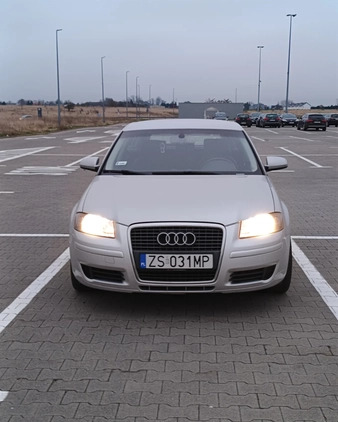 Audi A3 cena 19000 przebieg: 223000, rok produkcji 2008 z Szczecin małe 29